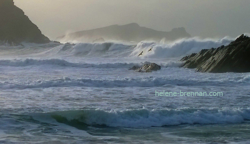 Clogher Beach 3129 Photo