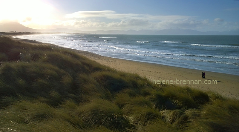 Banna Strand 4016 Photo