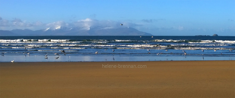 Banna Strand 4142 Photo