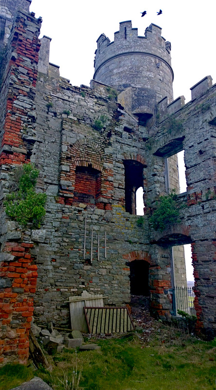 Ballyheigue Castle 3255 Photo