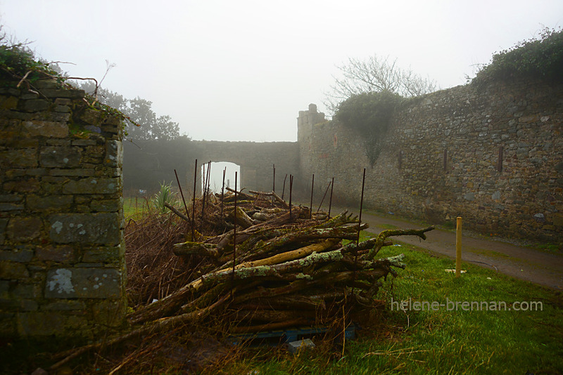 Old Walled Garden 0465 Photo