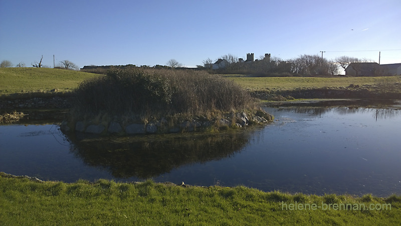 The grounds of Ballyheigue Castle B111054 Photo