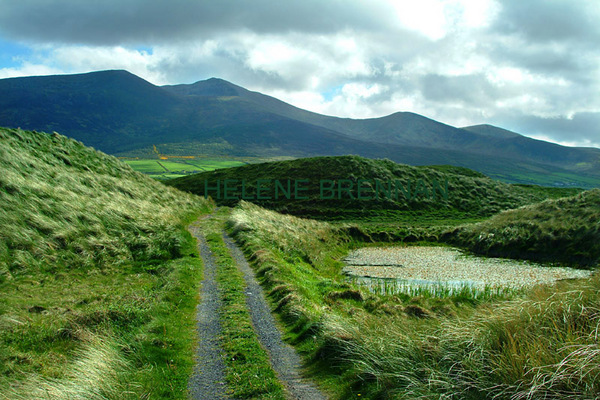 View from Castlegregory Golf Club 11 Photo