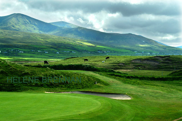 View from Castlegregory Golf Club 14 Photo