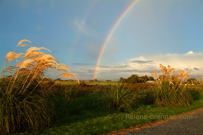 Tralee Rainbow 0005 Photo