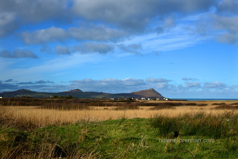 Ballyferriter Landscape 603 Photo