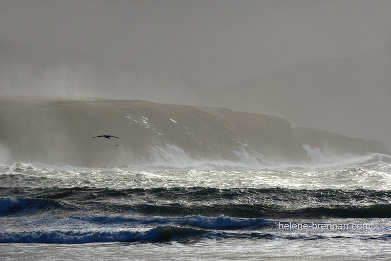 Storm with Birds at Feothanch 4931 Photo