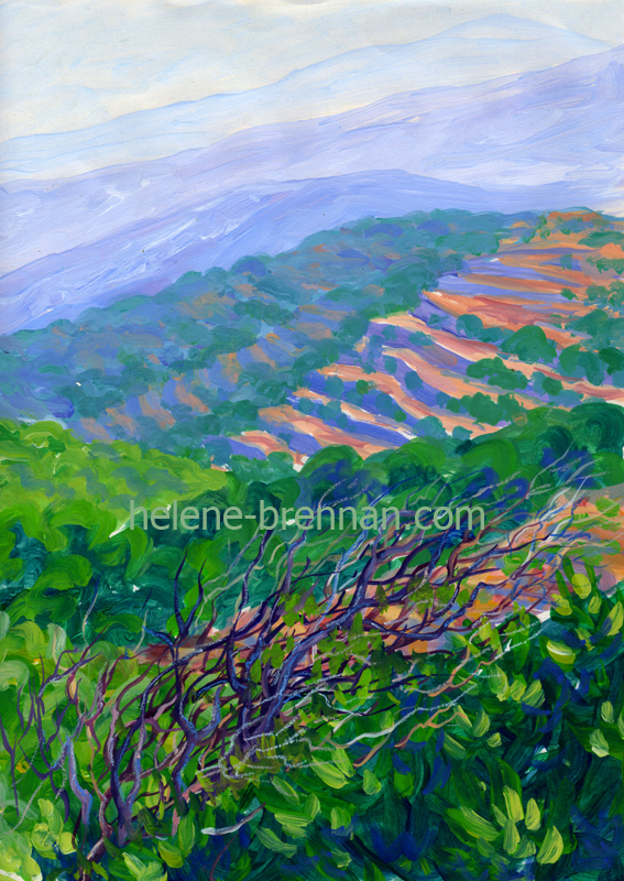 High Atlas Mountain Terraces 612 Painting: Oil Painting
