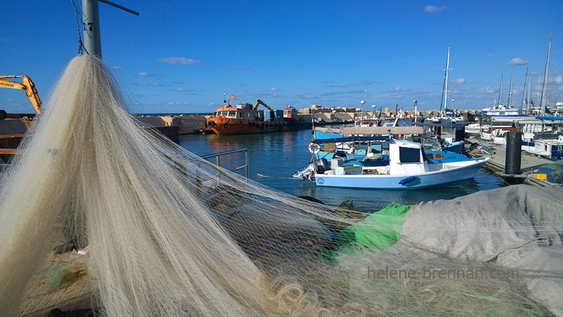 Jaffa Port 1641 Photo