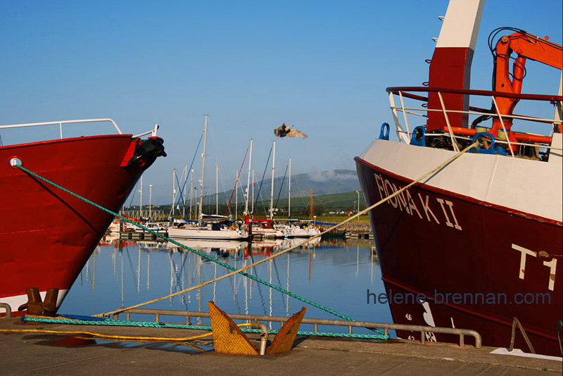 Dingle Harbour 5322 Photo