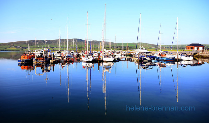 Dingle Marina 5295 Photo