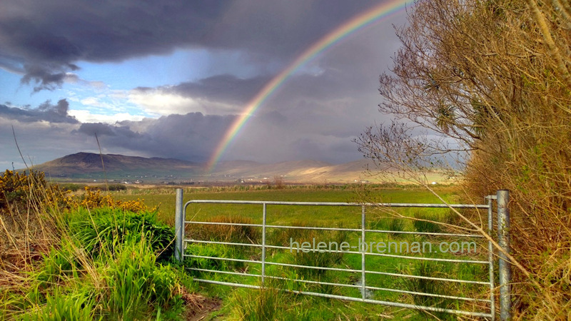 Rainbow Photo