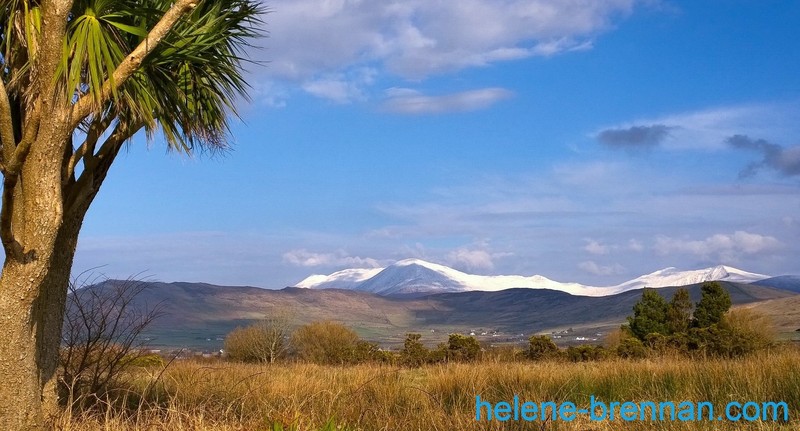 Snow on Mount Brandon 5310 Photo