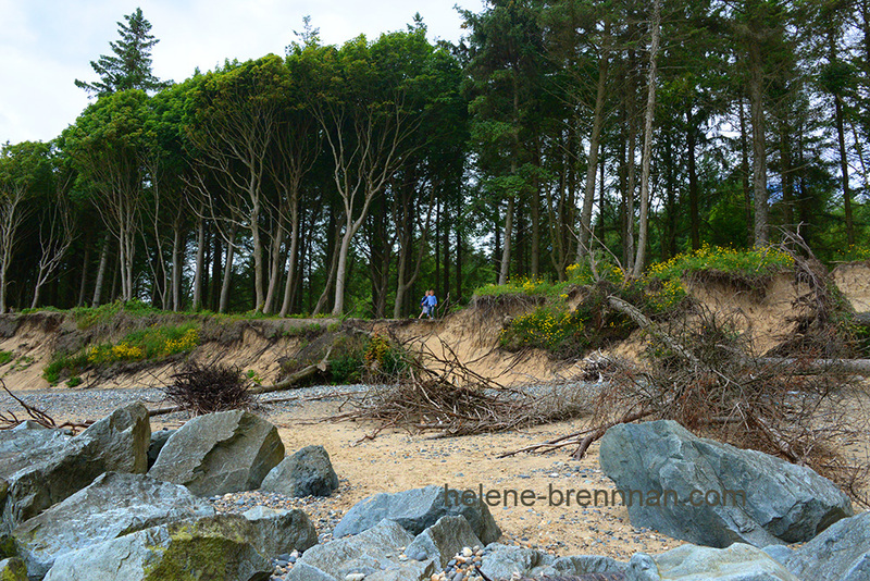 Courtown Beach 5794 Photo