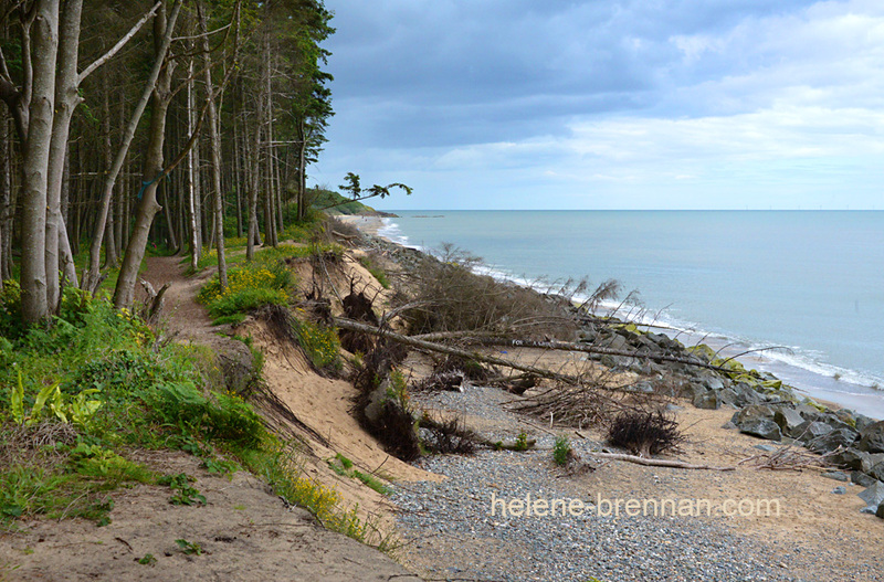 Courtown Beach 5779 Photo