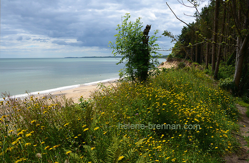 Courtown Beach 5820 Photo