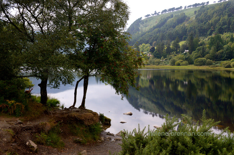 Upper Lake Glendalough 6339 Photo