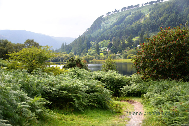 Upper Lake Glendalough 6334 Photo