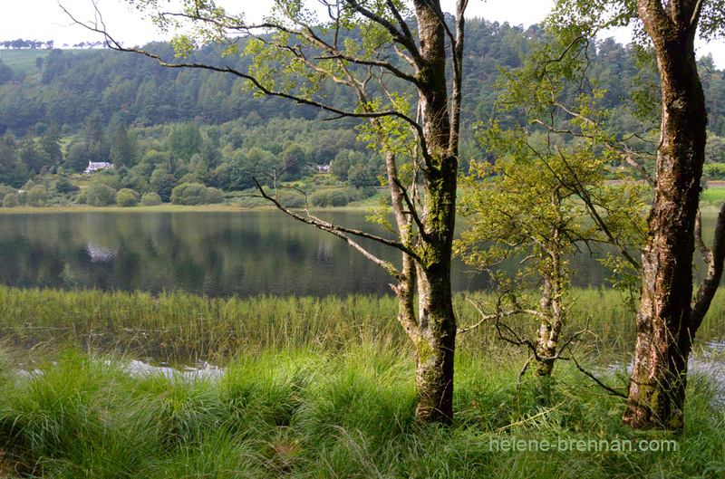 Glendalough 6351 Photo