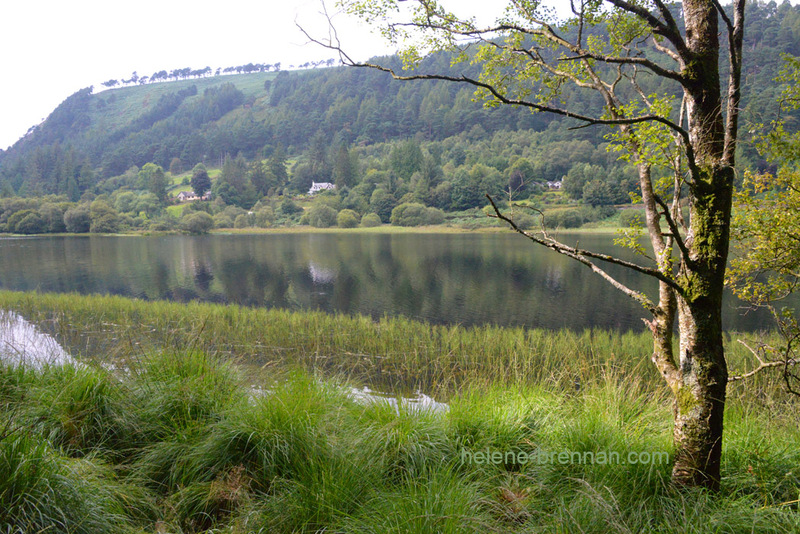 Glendalough 6352 Photo