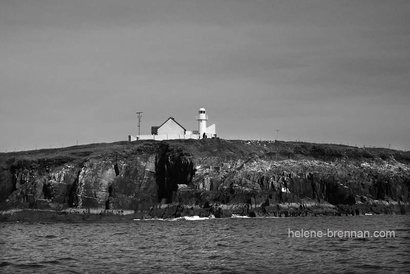 DIngle Lighthouse 7006 Black and White Photo