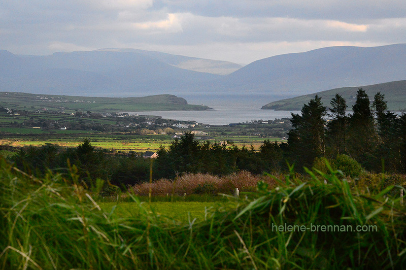 Dingle Harbour 7195 Photo