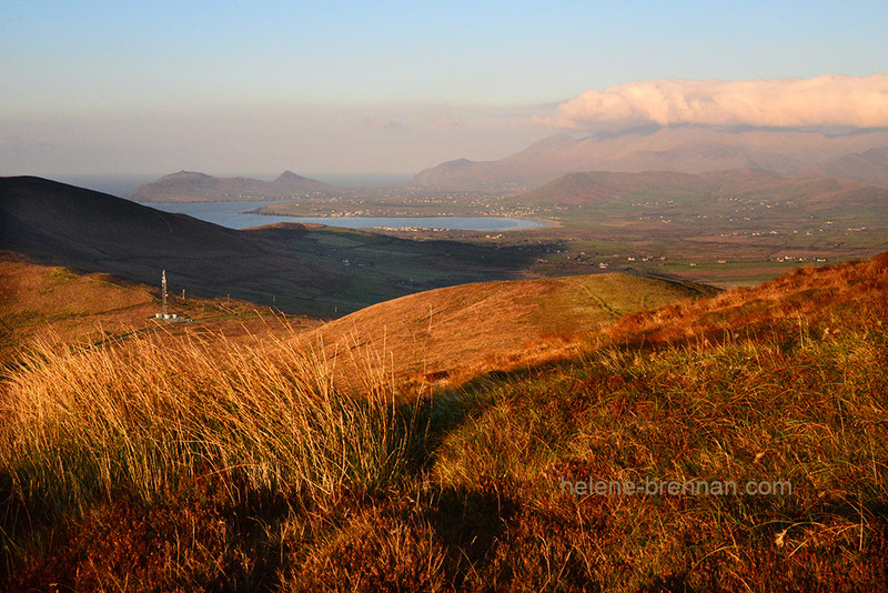 Evening Colours on Mount Eagle 7238 Photo