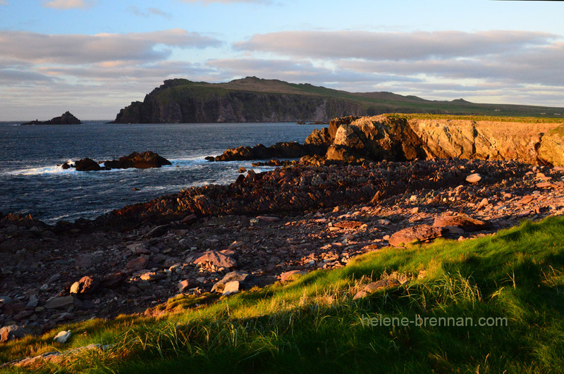 Sybil Head 7333 Photo