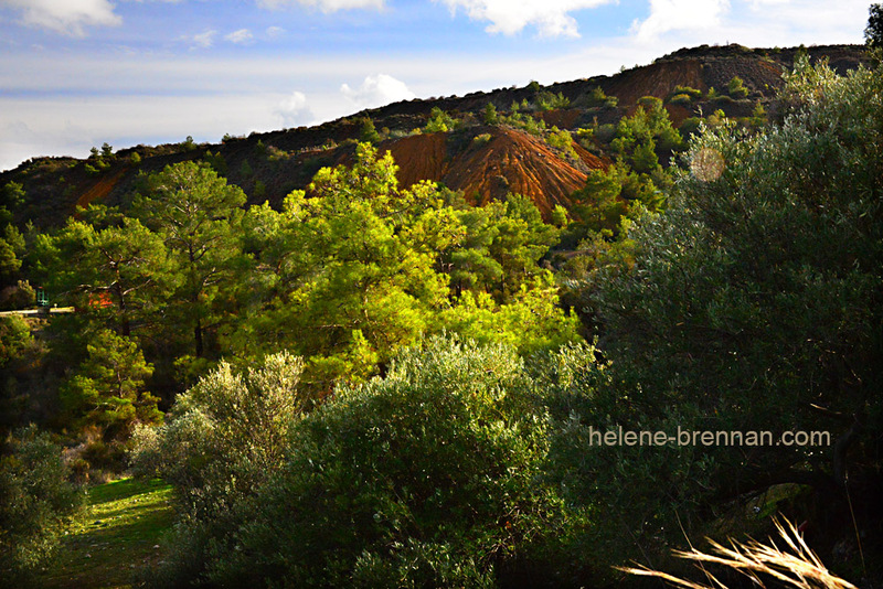 Kalavasos Landscape 8390 Photo