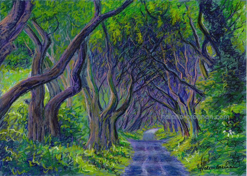 Dark Hedges Painting:: Oil Pastel