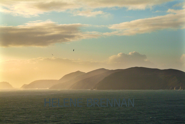 View of Blasket Islands from Couminole Photo