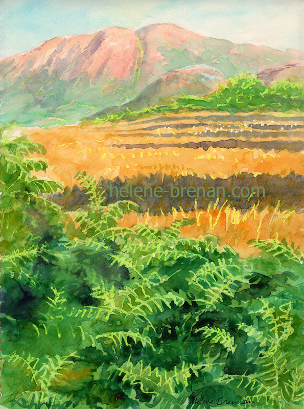 Borrowdale Landscape Watercolour