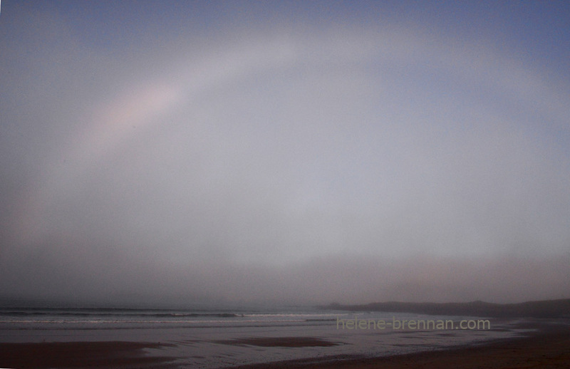 Fogbow 1100 Photo