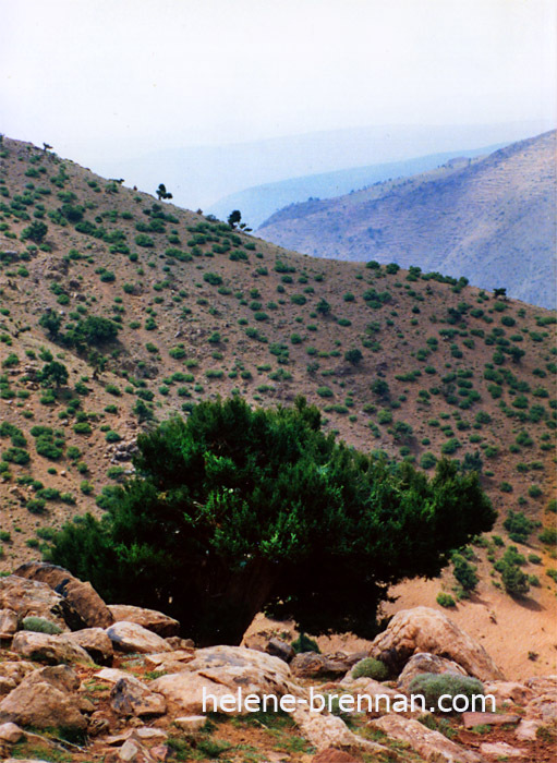 High Atlas 21 Photo