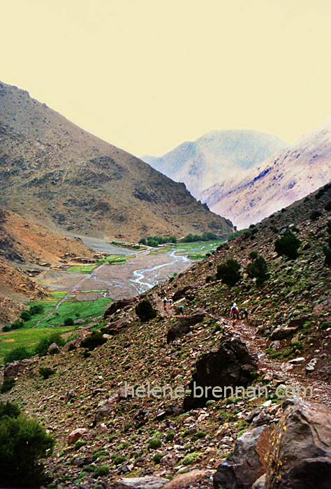 Mountain Path Photo