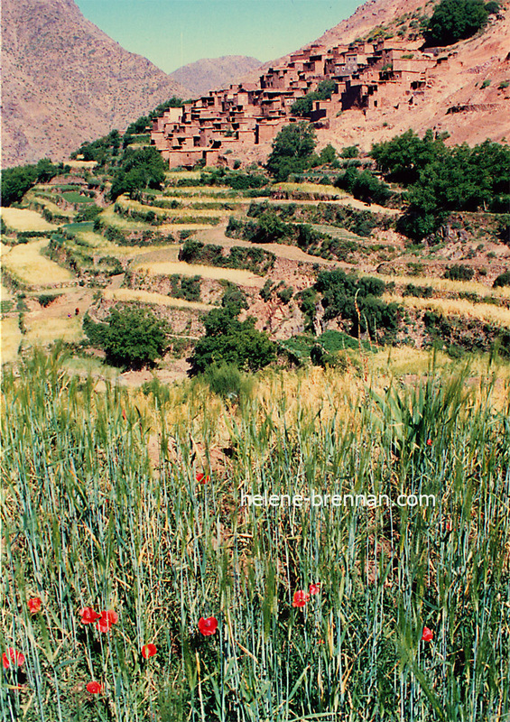 Mountain Village and Poppies Photo