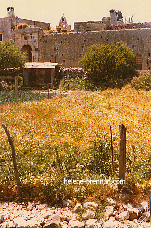 Arkadi Garden, Crete Photo