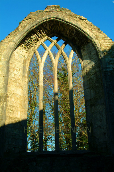 Muckross Abbey Photo