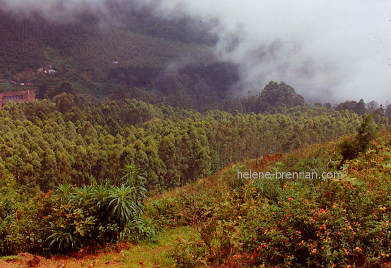 Kodaikanal 8 Photo