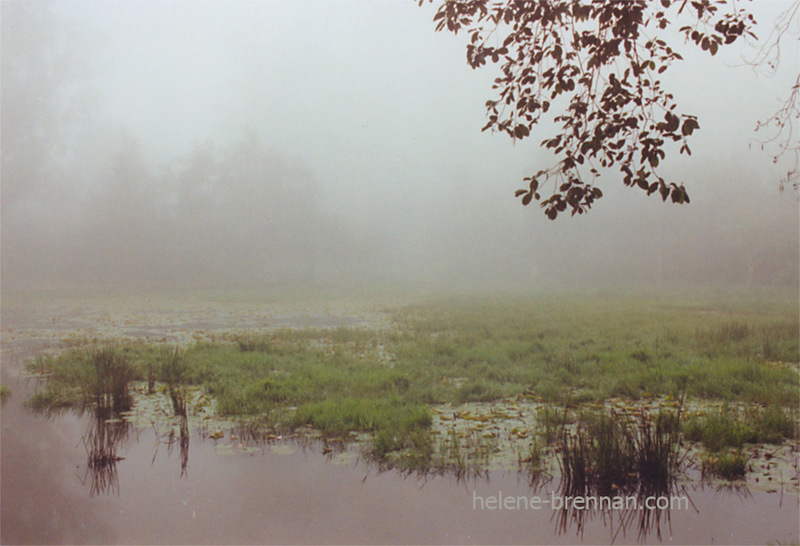 Kodaikanal Lake 9 Photo