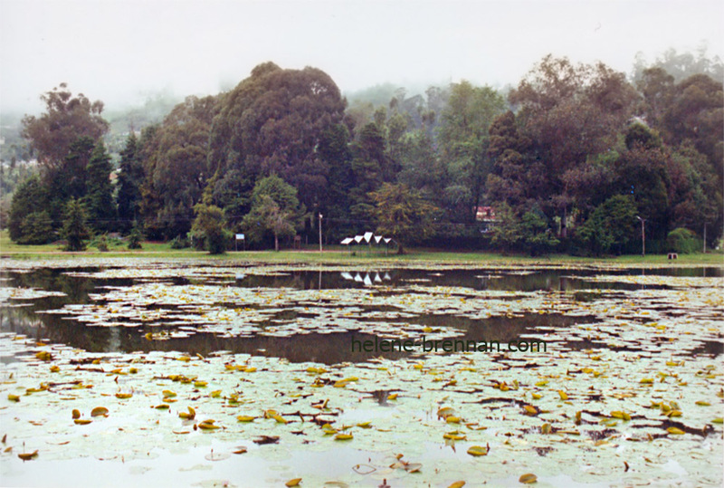 Kodaikanal Lake 14 Photo