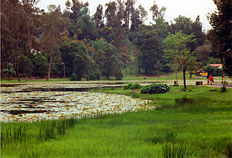 Kodaikanal Lake 16 Photo