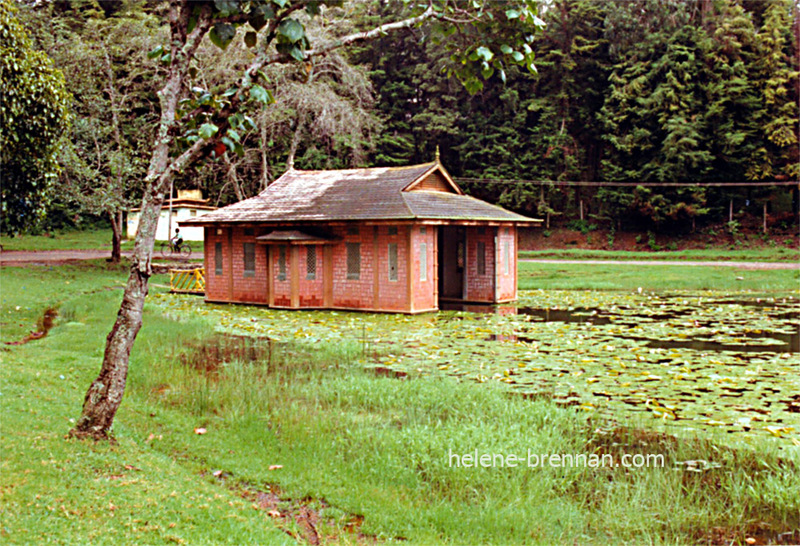 Kodaikanal Lake 17 Photo