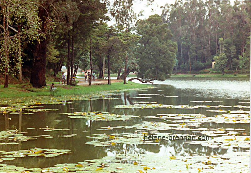 Kodaikanal Lake 18 Photo