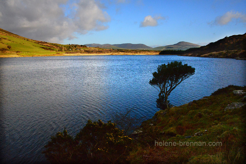 Annascaul Lake 2322 Photo