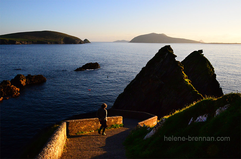 Blasket Islands 0744 Photo