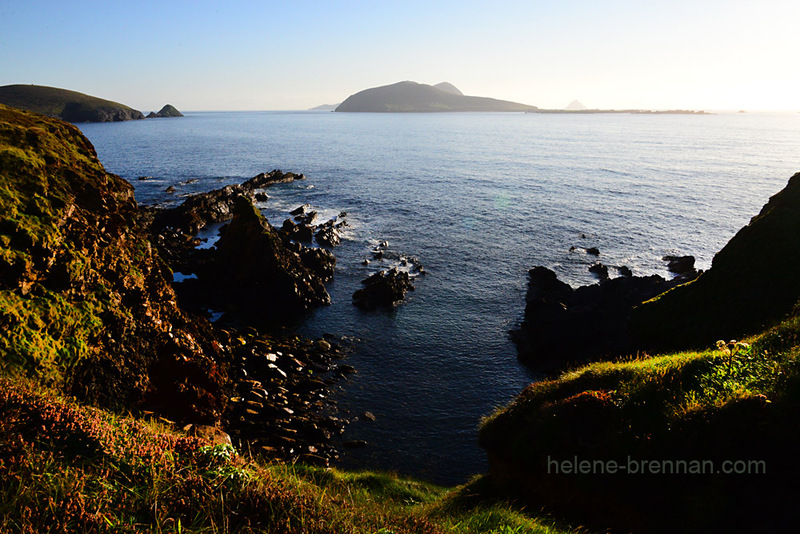 Blasket Islands 0729 Photo