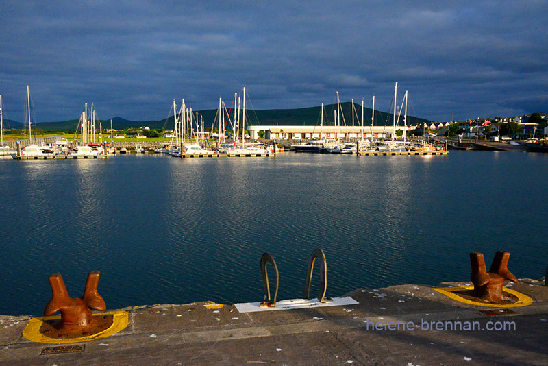 Morning Sun on Dingle Marina 2704 Photo