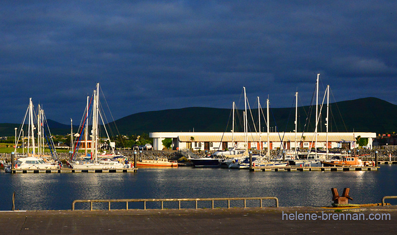 Morning Sun on Dingle Marina 2706 Photo