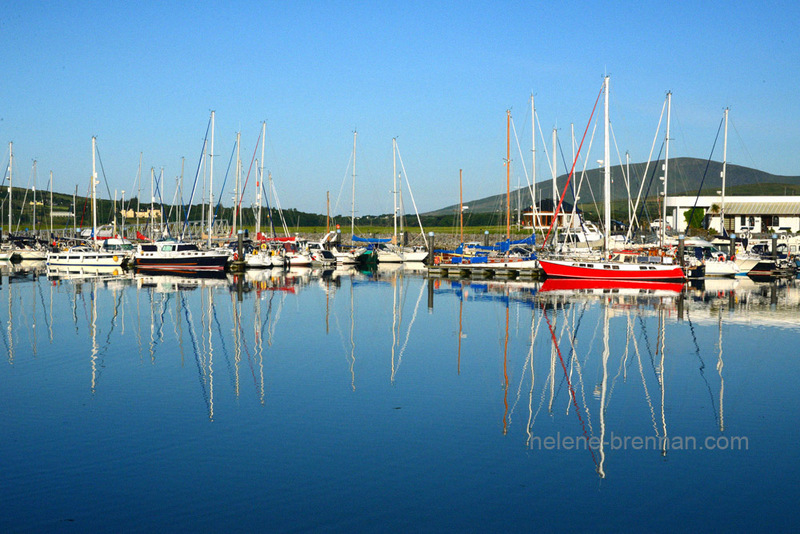 Dingle Marina in the Early Morning 2877 Photo